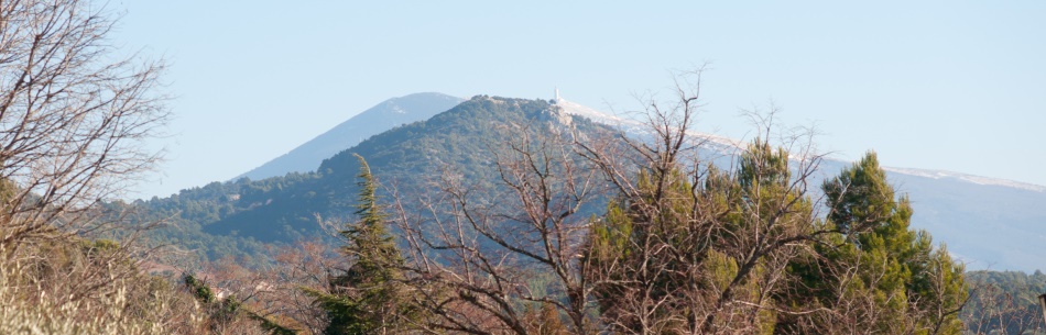 1.ventoux950